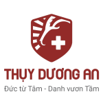 Thuỵ Dương An
